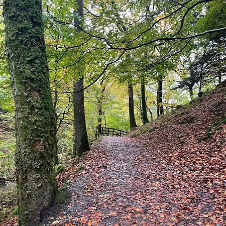 Grizedale View