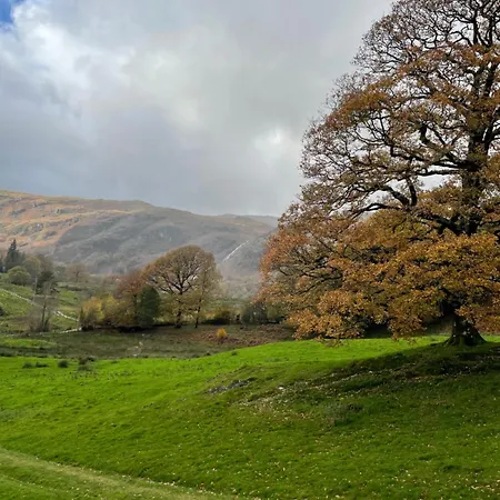 Grizedale View Apartamento