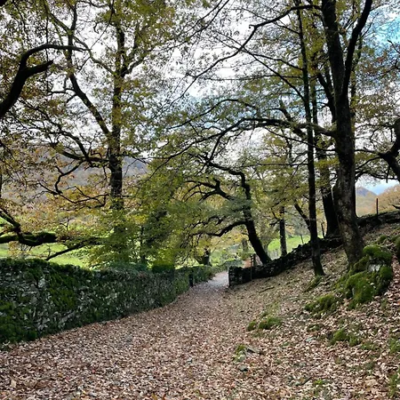 Appartement Grizedale View *