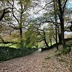 Lejlighed Grizedale View *